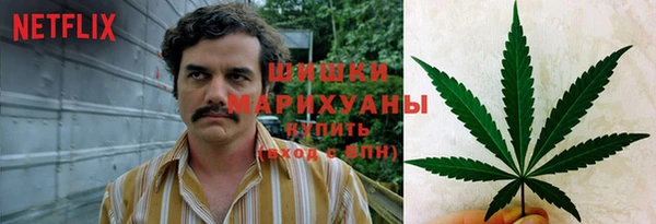 гидра Богданович
