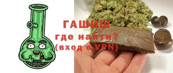 гидра Богданович