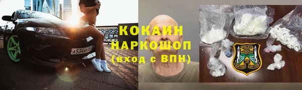 гидра Богданович