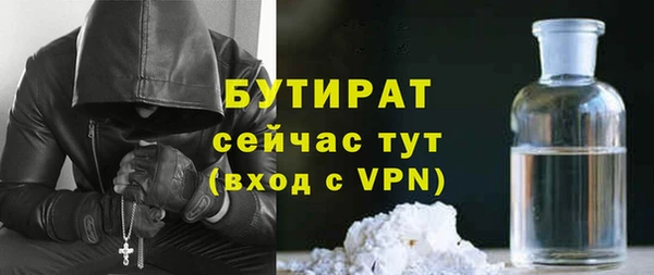 гидра Богданович