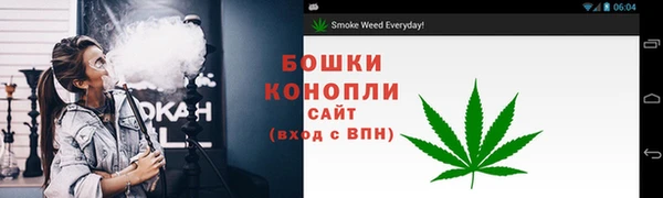 гидра Богданович