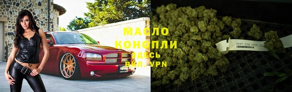 гидра Богданович