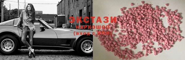 гидра Богданович