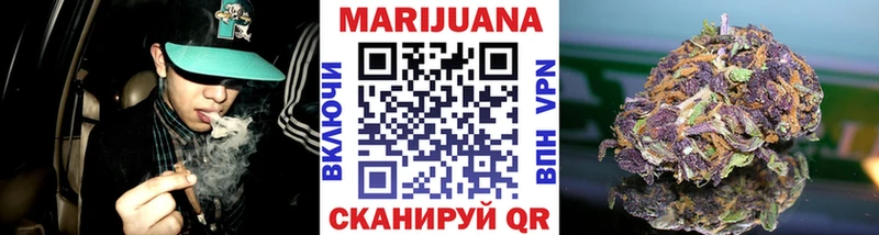 mega как зайти  Краснознаменск  Марихуана сатива  купить  